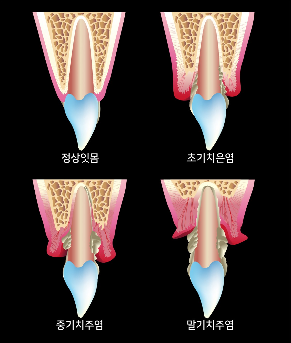 20dd8683cca1a254d1a483734f8fb4d8_1755298386_52.jpg